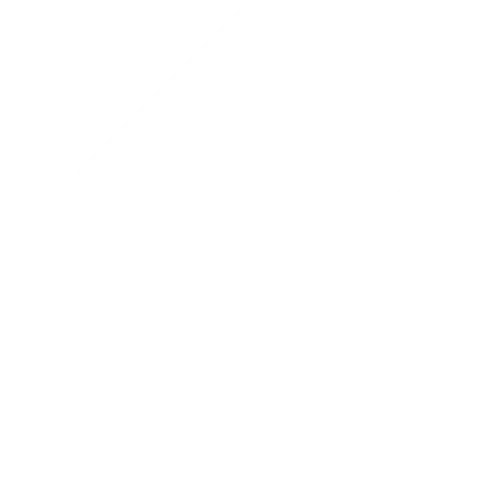 harpnet - logo white